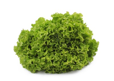 Салат романо 1 кг - купить в Воргашоре