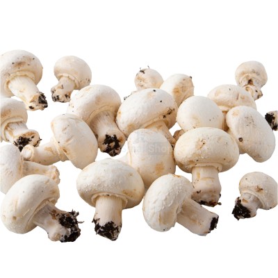 Шампиньоны свежие 500 г - купить в Воргашоре